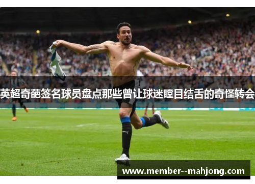 英超奇葩签名球员盘点那些曾让球迷瞠目结舌的奇怪转会