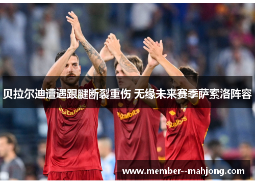 贝拉尔迪遭遇跟腱断裂重伤 无缘未来赛季萨索洛阵容