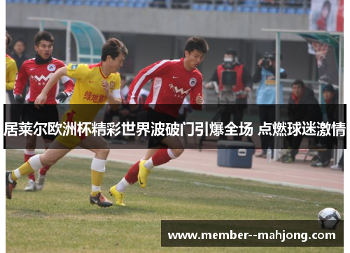 居莱尔欧洲杯精彩世界波破门引爆全场 点燃球迷激情